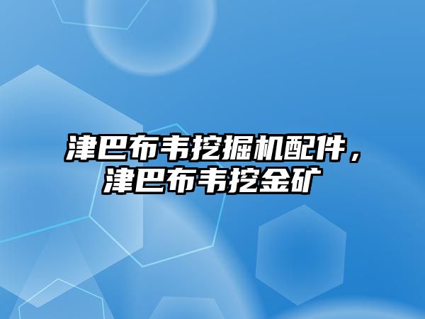 津巴布韋挖掘機配件，津巴布韋挖金礦