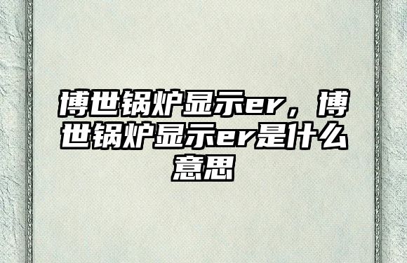 博世鍋爐顯示er，博世鍋爐顯示er是什么意思