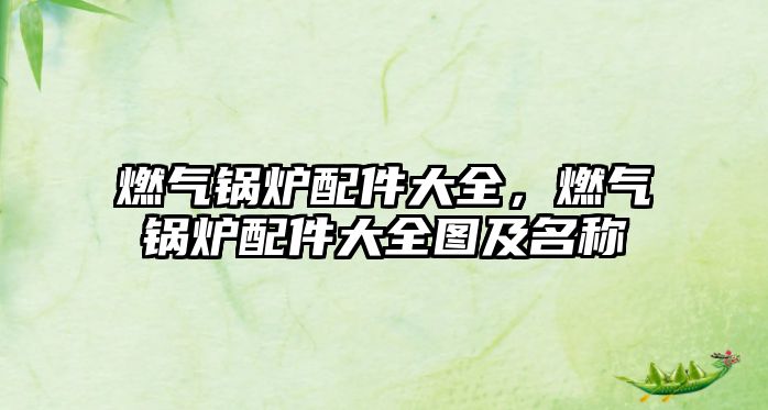 燃?xì)忮仩t配件大全，燃?xì)忮仩t配件大全圖及名稱