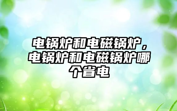 電鍋爐和電磁鍋爐，電鍋爐和電磁鍋爐哪個(gè)省電