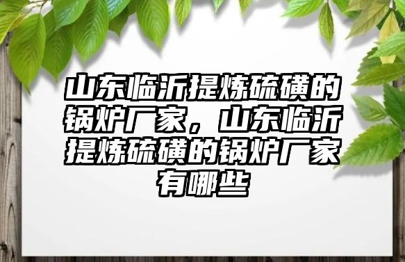 山東臨沂提煉硫磺的鍋爐廠家，山東臨沂提煉硫磺的鍋爐廠家有哪些