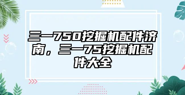 三一750挖掘機(jī)配件濟(jì)南，三一75挖掘機(jī)配件大全