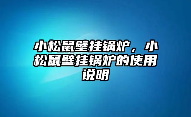 小松鼠壁掛鍋爐，小松鼠壁掛鍋爐的使用說明