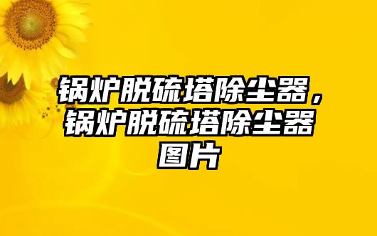 鍋爐脫硫塔除塵器，鍋爐脫硫塔除塵器圖片