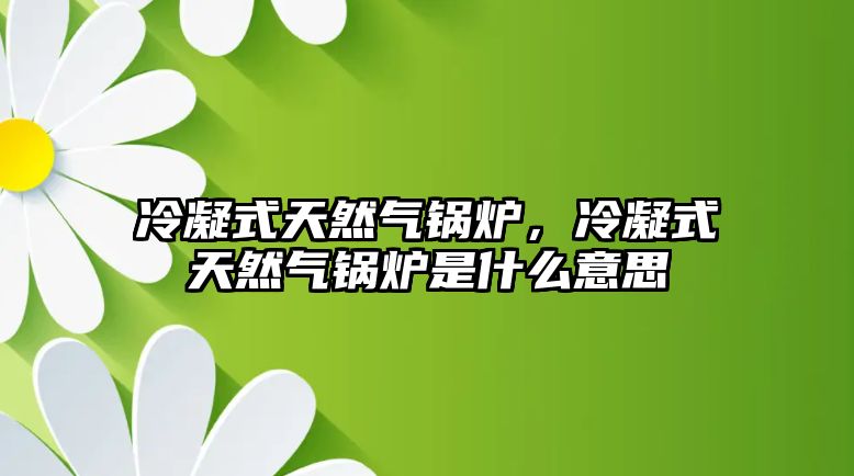 冷凝式天然氣鍋爐，冷凝式天然氣鍋爐是什么意思