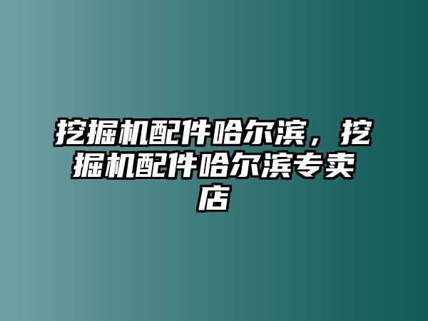 挖掘機配件哈爾濱，挖掘機配件哈爾濱專賣店