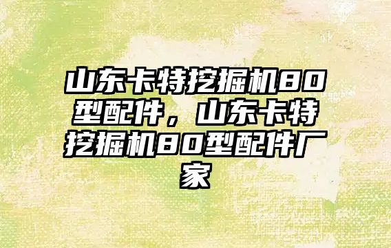 山東卡特挖掘機(jī)80型配件，山東卡特挖掘機(jī)80型配件廠家