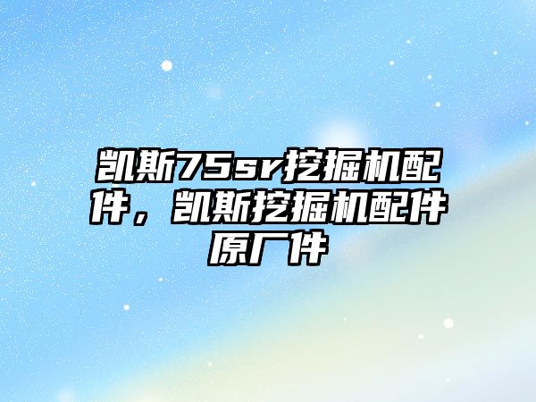 凱斯75sr挖掘機配件，凱斯挖掘機配件原廠件