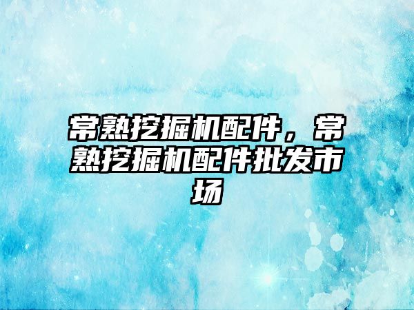 常熟挖掘機配件，常熟挖掘機配件批發(fā)市場