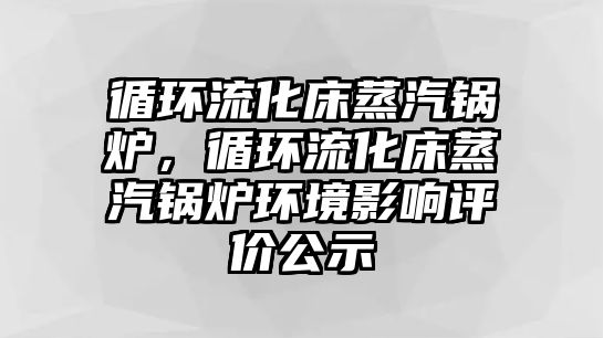 循環(huán)流化床蒸汽鍋爐，循環(huán)流化床蒸汽鍋爐環(huán)境影響評價公示