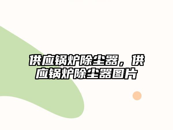 供應(yīng)鍋爐除塵器，供應(yīng)鍋爐除塵器圖片