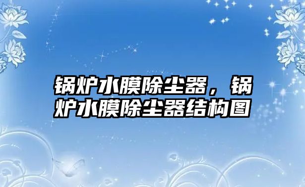 鍋爐水膜除塵器，鍋爐水膜除塵器結(jié)構(gòu)圖