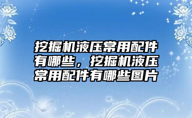 挖掘機液壓常用配件有哪些，挖掘機液壓常用配件有哪些圖片