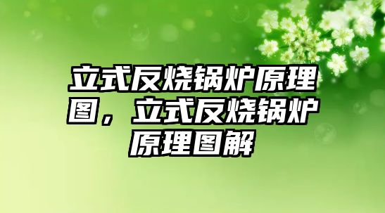 立式反燒鍋爐原理圖，立式反燒鍋爐原理圖解