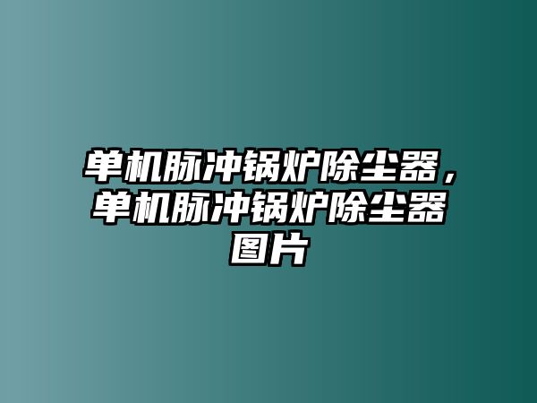 單機脈沖鍋爐除塵器，單機脈沖鍋爐除塵器圖片