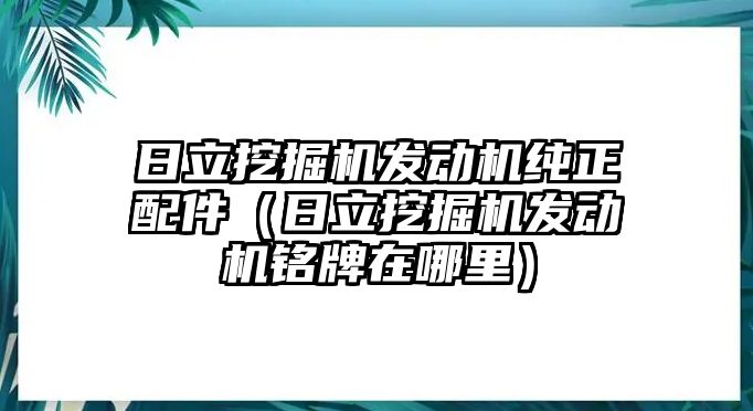 日立挖掘機發(fā)動機純正配件（日立挖掘機發(fā)動機銘牌在哪里）