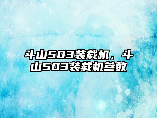 斗山503裝載機，斗山503裝載機參數