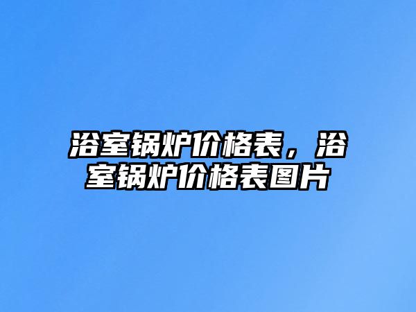 浴室鍋爐價格表，浴室鍋爐價格表圖片