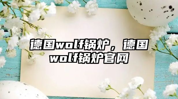 德國wolf鍋爐，德國wolf鍋爐官網(wǎng)