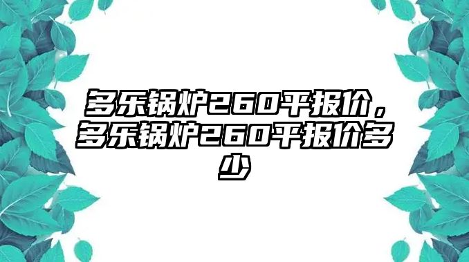 多樂鍋爐260平報(bào)價(jià)，多樂鍋爐260平報(bào)價(jià)多少