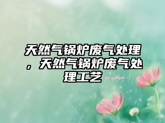 天然氣鍋爐廢氣處理，天然氣鍋爐廢氣處理工藝