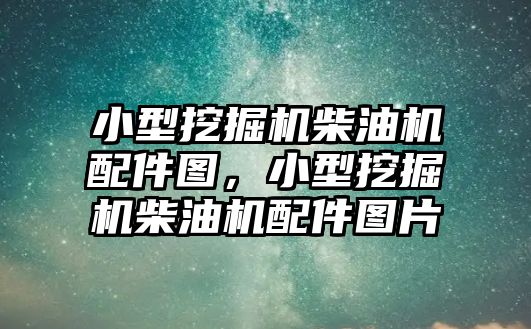 小型挖掘機柴油機配件圖，小型挖掘機柴油機配件圖片