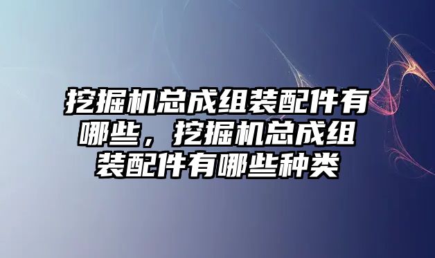 挖掘機總成組裝配件有哪些，挖掘機總成組裝配件有哪些種類