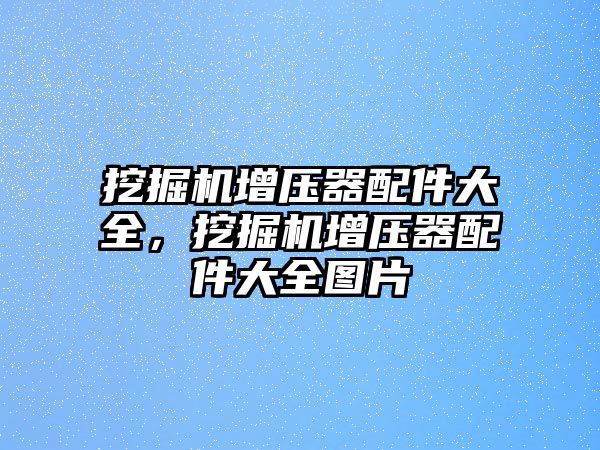 挖掘機增壓器配件大全，挖掘機增壓器配件大全圖片