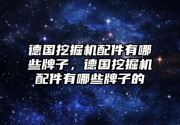 德國(guó)挖掘機(jī)配件有哪些牌子，德國(guó)挖掘機(jī)配件有哪些牌子的