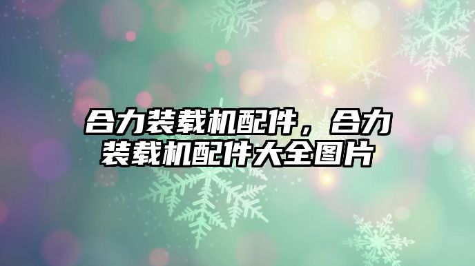 合力裝載機配件，合力裝載機配件大全圖片