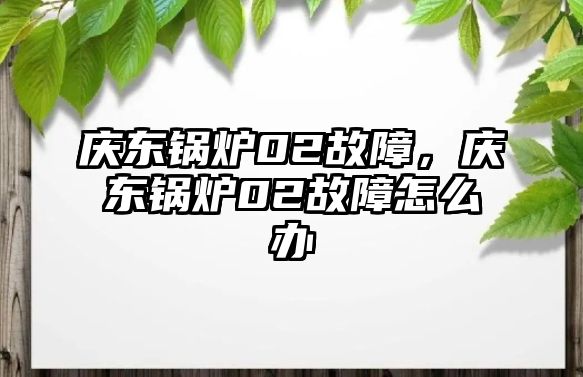 慶東鍋爐02故障，慶東鍋爐02故障怎么辦