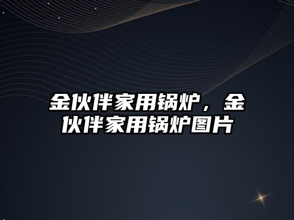 金伙伴家用鍋爐，金伙伴家用鍋爐圖片