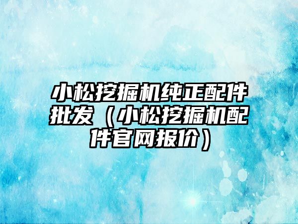 小松挖掘機純正配件批發(fā)（小松挖掘機配件官網報價）