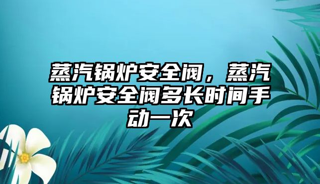 蒸汽鍋爐安全閥，蒸汽鍋爐安全閥多長(zhǎng)時(shí)間手動(dòng)一次