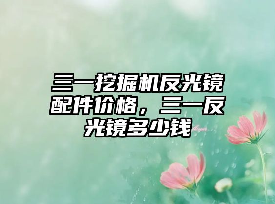 三一挖掘機反光鏡配件價格，三一反光鏡多少錢