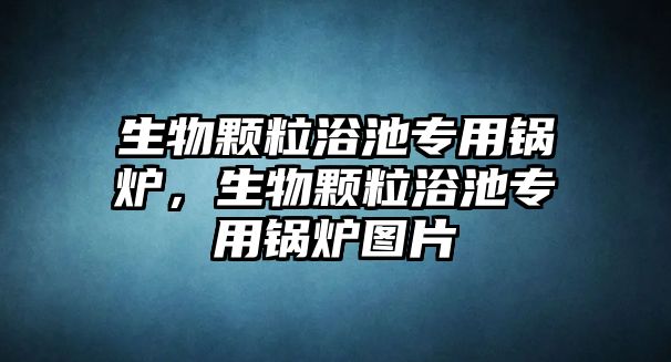 生物顆粒浴池專用鍋爐，生物顆粒浴池專用鍋爐圖片