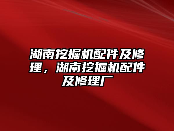 湖南挖掘機配件及修理，湖南挖掘機配件及修理廠