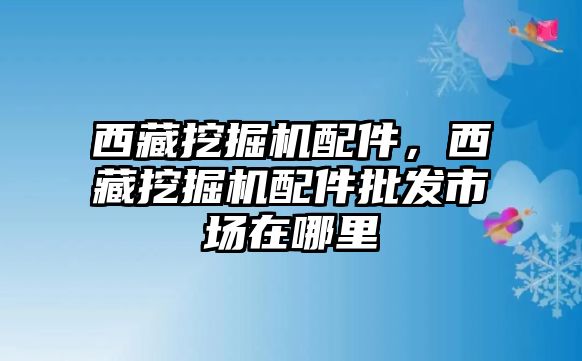 西藏挖掘機(jī)配件，西藏挖掘機(jī)配件批發(fā)市場(chǎng)在哪里