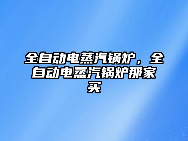 全自動電蒸汽鍋爐，全自動電蒸汽鍋爐那家買