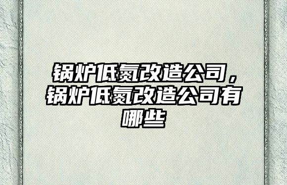 鍋爐低氮改造公司，鍋爐低氮改造公司有哪些