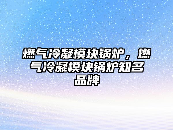 燃氣冷凝模塊鍋爐，燃氣冷凝模塊鍋爐知名品牌