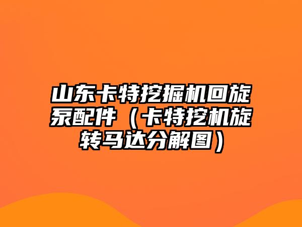 山東卡特挖掘機回旋泵配件（卡特挖機旋轉(zhuǎn)馬達(dá)分解圖）