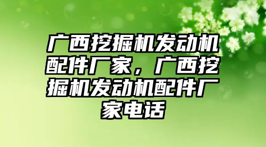 廣西挖掘機發(fā)動機配件廠家，廣西挖掘機發(fā)動機配件廠家電話