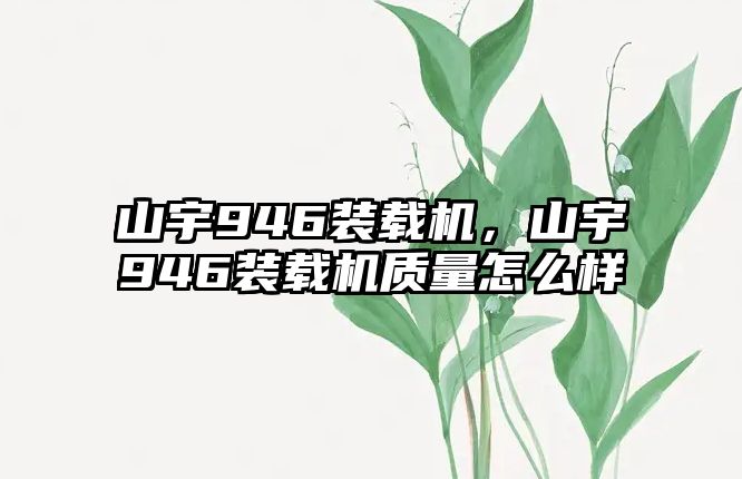 山宇946裝載機，山宇946裝載機質量怎么樣