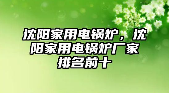 沈陽家用電鍋爐，沈陽家用電鍋爐廠家排名前十