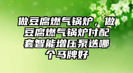 做豆腐燃氣鍋爐，做豆腐燃氣鍋爐付配套智能增壓泵迭哪個馬牌好