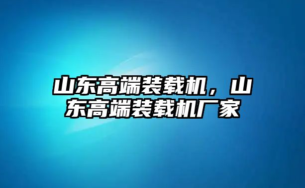 山東高端裝載機，山東高端裝載機廠家