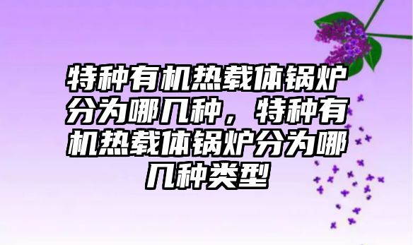 特種有機(jī)熱載體鍋爐分為哪幾種，特種有機(jī)熱載體鍋爐分為哪幾種類型