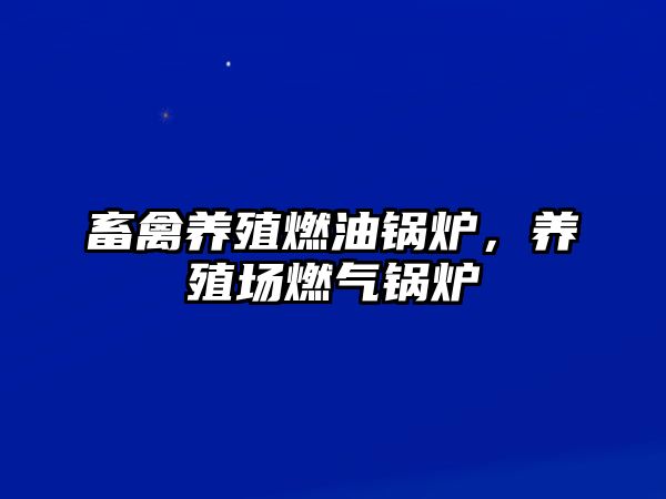 畜禽養(yǎng)殖燃油鍋爐，養(yǎng)殖場燃氣鍋爐