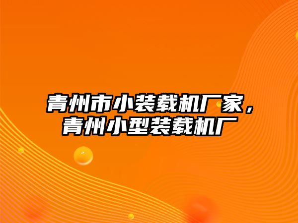 青州市小裝載機(jī)廠家，青州小型裝載機(jī)廠